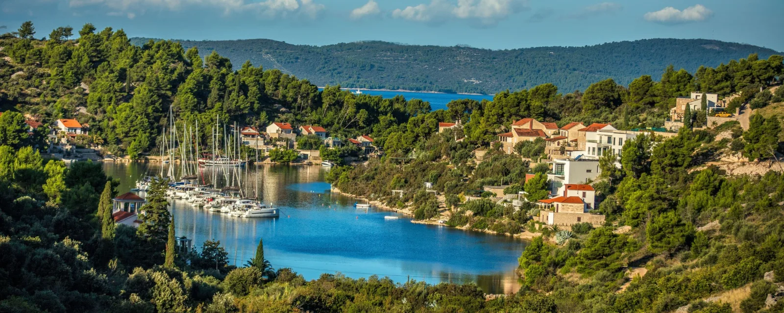 Sailing yachts moored in a sheltered green bay on a Dalmatian island, Croatia